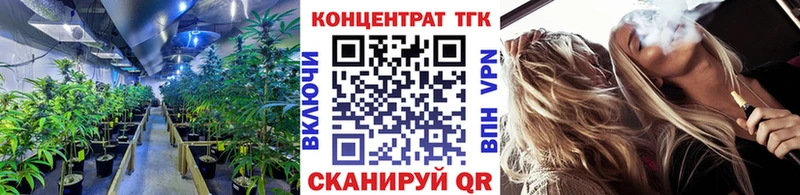 Купить закладки  Звенигород  ТГК вейп 