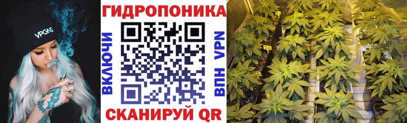 Купить  Звенигород  Шишки марихуана MAZAR 